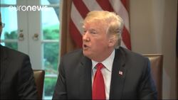 Trump: "The European Union has been terrible to the United States on trade" News Clip