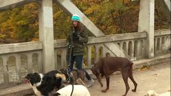 Prolific identity thief has at least 50 victims, police say News Clip