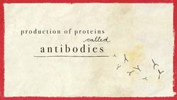 TED-Ed: How do blood transfusions work? | Bill Schutt Instructional Video