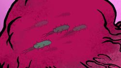 TED-Ed: Hacking bacteria to fight cancer | Tal Danino Instructional Video