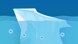 I WONDER - Are Icebergs Important For Animals? Instructional Video