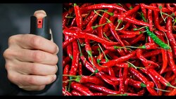 Pepper Spray Explained Instructional Video