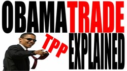 The TPP Explained Instructional Video