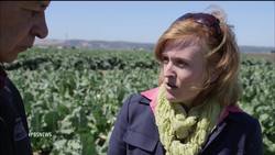 Why does almost half of America’s food go to waste? News Clip