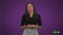 Technicolor Dream Fish: How Tilefish Flash Instructional Video