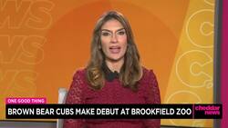 One Good Thing: Community Honors 10-Year-Old Uvalde Survivor News Clip