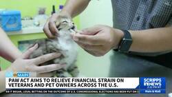 PAWS Act to help relieve financial stress on veterans and pet owners News Clip