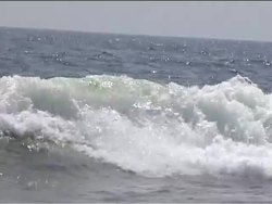 Vibrations and Waves: Introduction Instructional Video