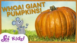 Why Do Pumpkins Get So Big? | SciShow Kids Instructional Video