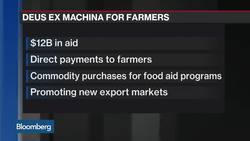 Trump Tells EU to Buy More Soybeans News Clip