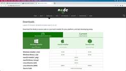 The Complete Practical Docker Guide - Installing Node.js and NPM Instructional Video