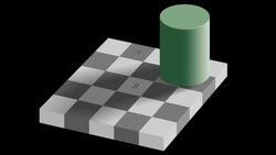 Understanding Color Illusions Instructional Video