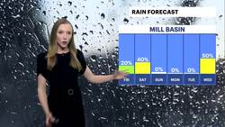 Periods of rain, cloudy skies throughout Friday in Brooklyn News Clip