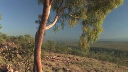Lowlands of the Kimberley, Western Australia Stock Footage