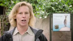 This Baby Klipspringer is Already a Great Climber Instructional Video