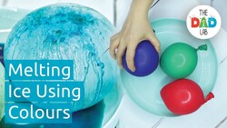 Science Experiment: Melting Ice Instructional Video
