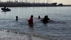 CLEAN : Rescue efforts underway for small whale stranded on Athens coast News Clip