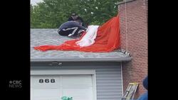 Neighbours stunned after Snowbirds crash News Clip