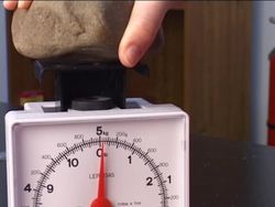 Making Observations: What Are Observations? Instructional Video