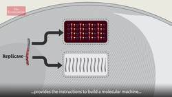 How to treat covid-19 Instructional Video