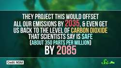 3 (Actually Safe) Ways to Fight Climate Change Instructional Video