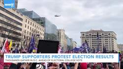 Trump Supporters Rally In D.C. Before Electoral College Vote News Clip
