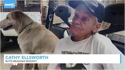 Newsy’s Latest Headlines News Clip