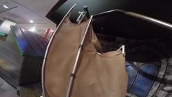 How does a bat see in the dark? | The Robot Zoo | Maddie Moate Instructional Video