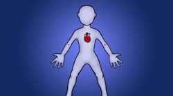 Name That Body Part Instructional Video