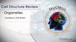 HST-AP - Mitosis/Cell Division Instructional Video