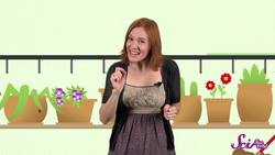 How a Caterpillar Becomes a Butterfly Instructional Video