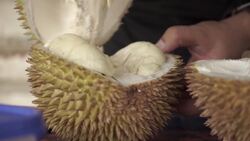 The Unique Taste of Durian: A Culinary Adventure Instructional Video