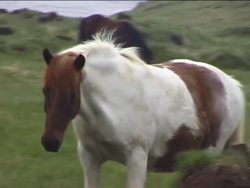 The Periodic Table: Introduction Instructional Video