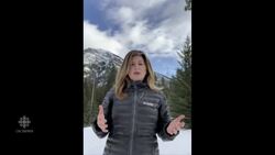 Ambrose says she won't run to be Conservative Leader News Clip