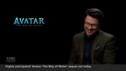 James Cameron's Avatar sequel criticized over lack of Indigenous representation News Clip