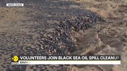 Russia: Ecological Disaster Amid Kerch Strait Oil Leak, Putin Calls For Urgent Action News Clip