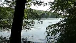 summer beech tree forst at Tornowsee lake in Brandenburg (Germany). touristic destination of Boltenmuehle (engl. Bolten mill). Stock Footage