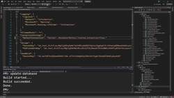 The Complete Guide to ASP.NET Core MVC (.NET 6) - DbInitializer Interface Instructional Video