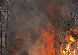 What is burning? Instructional Video