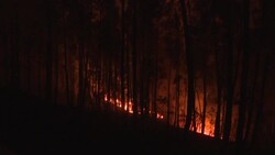 CLEAN : Wildfire rips through national park in central Portugal News Clip