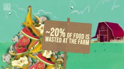 Rise of food waste technology Instructional Video
