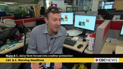 Major B.C. dairy farm forced into creditor protection News Clip