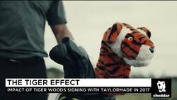 TaylorMade CEO: Tiger Woods Is Back 'In Great Form' News Clip