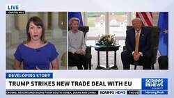 Trump strikes new trade deal with EU News Clip
