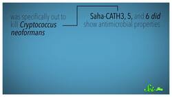 Using Devil's Milk to Kill Superbugs Instructional Video