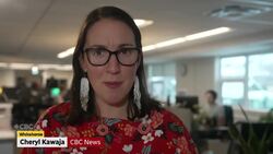 Questions raised about Yukon mental health oversight after social worker registration suspended News Clip