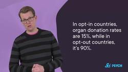 Why Is It So Hard to Make a Decision? Instructional Video