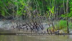 Deforestation and Rising Sea Levels in Bangladesh Instructional Video