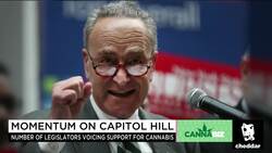 Inside the Momentum Driving Politicians to Back Cannabis News Clip