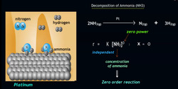 Order Matters : Getting to the Bottom of Reaction Order Instructional Video